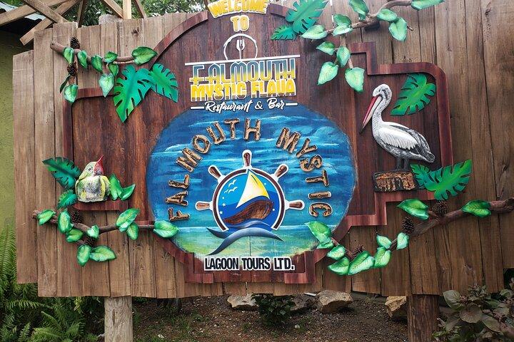 Glistening Waters Luminous Lagoon Tour from Montego Bay