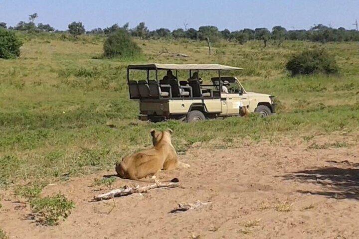 3 Hours Chobe Game Drive Safari, Botswana
