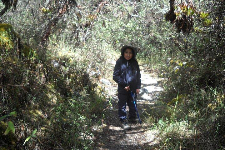 Traditional Picante de Cuy Gastronomy Tour in Huaraz
