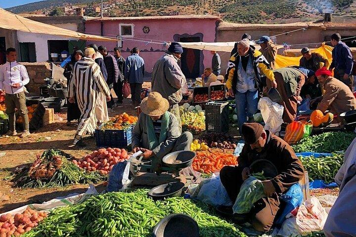 Marrakesh: High Atlas, Agafay desert and Waterfalls Tour