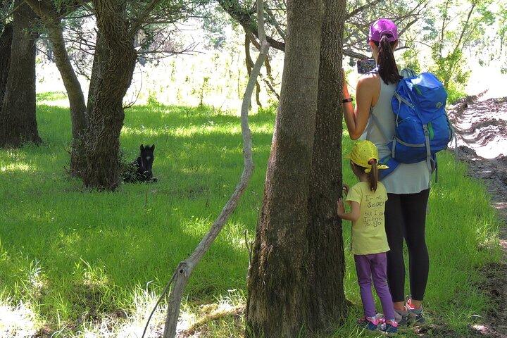 Podgorica Historic, Safari and Winery tour - Skadar lake and River Crnojevica