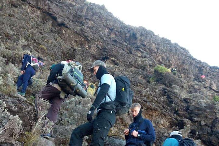 9 Days Kilimanjaro Climbing Via Northern Circuit