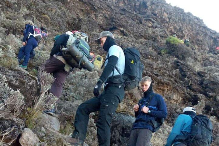 Kilimanjaro Climbing Via Rongai Route 7 Days