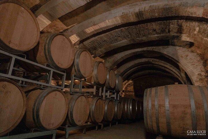 Wine and food tasting in an organic family winery