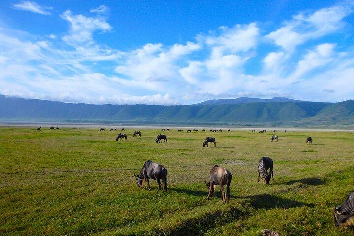 4-Day Serengeti Safari Expedition