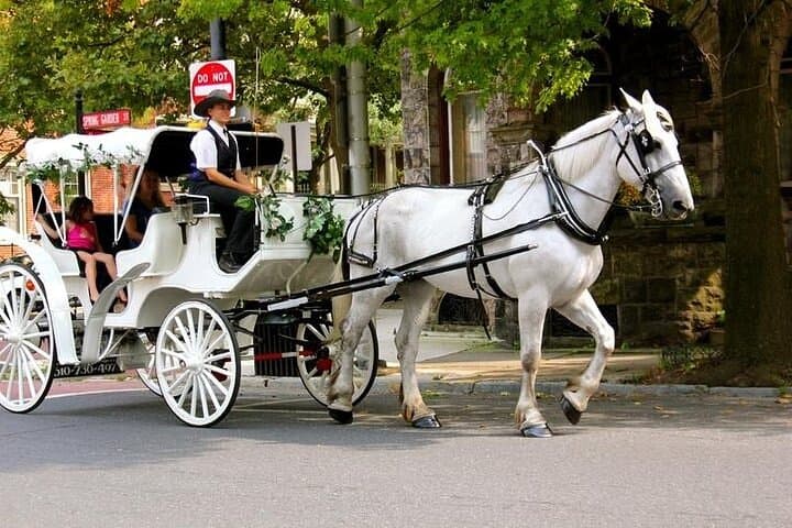 Horse Carriage Romantic Ride (VIP-Private) in Central Park 1964