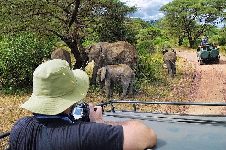 Tarangire National Park Day Trip