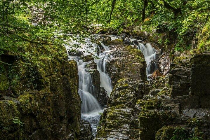 Loch Ness Cruise, Walk, Whisky, and Glencoe Tour - Edinburgh