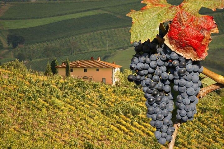 Pienza and Montepulciano by Tuscan Hills from Rome Private Tour