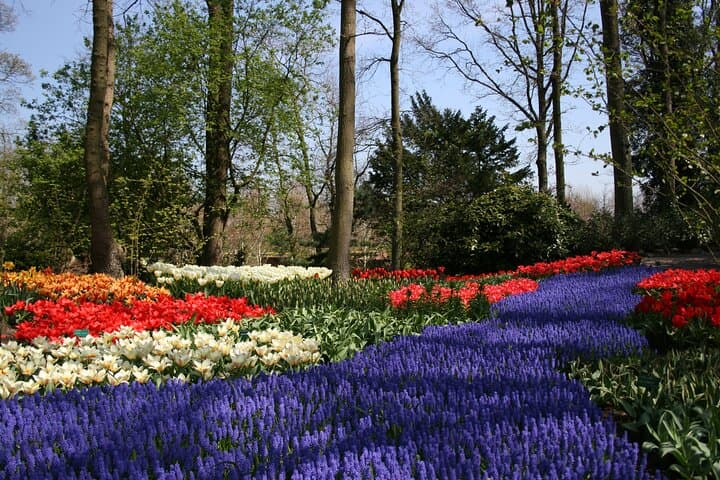 Private Day Trip to Keukenhof and Zaanse Schans
