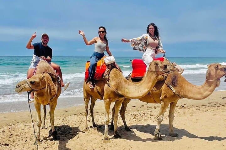 Tangier Private Day Tour With Camel Ride & Souks