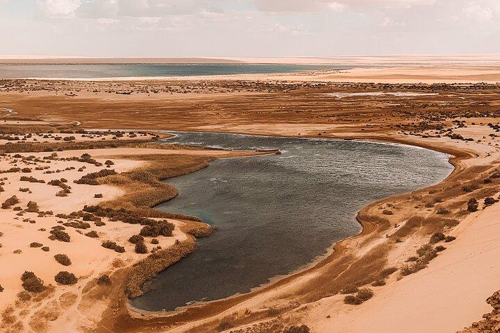 Day Tour to El Fayoum from Cairo