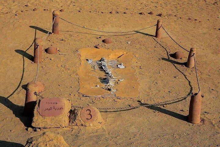 Day Tour to El Fayoum from Cairo