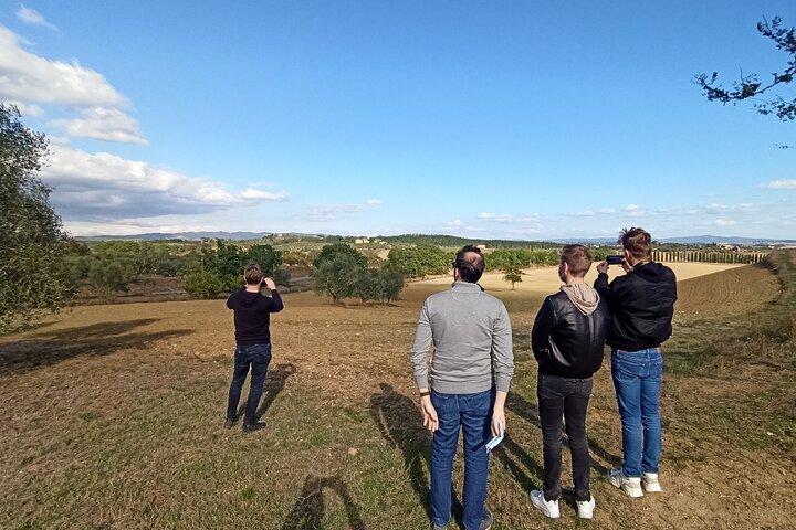 Chianti from Florence:PRIVATE Wine, Olive Oil Tasting in the Tuscan countryside