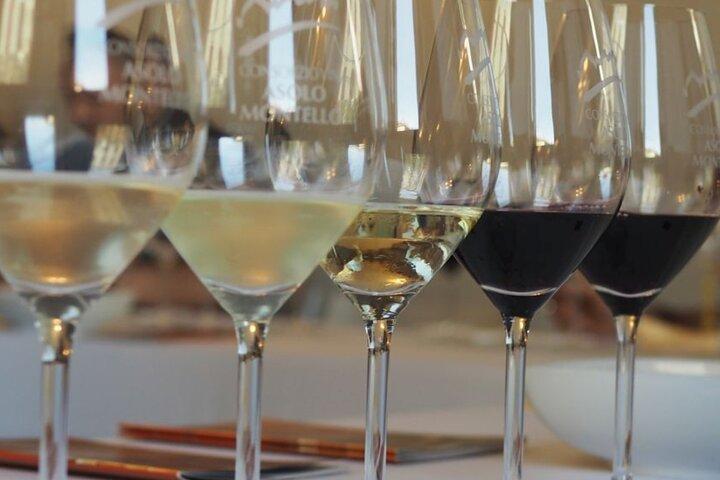 Chianti from Florence:PRIVATE Wine, Olive Oil Tasting in the Tuscan countryside