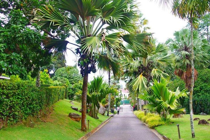 Private Mahe Island Full day Tour with Pickup