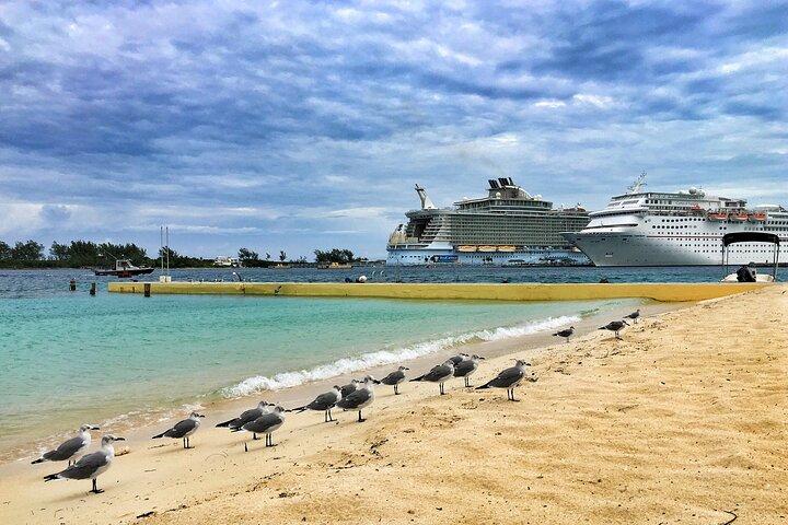 Small Group Fort Lauderdale&Palm Beach Day Tour from Miami FL