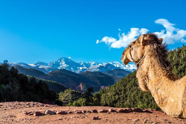 Full Day Berber Villages and Atlas Mountains 4x4 Adventure