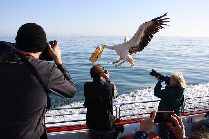 Mola Mola Marine Dune Experience