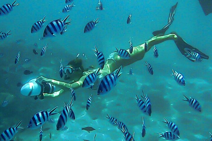 Sea Scooter Snorkel Tour - Lagoon Discovery : Wrecks, Coral Gardens and Tropical Fishies