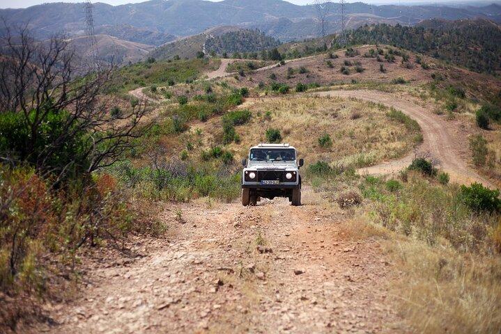 Jeep Safari to Akamas National Park: Avakas Gorge Tour from Paphos