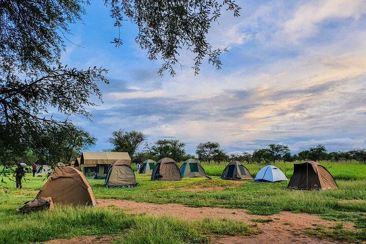 10 Days-Tanzania Group Safari and Beach Tours