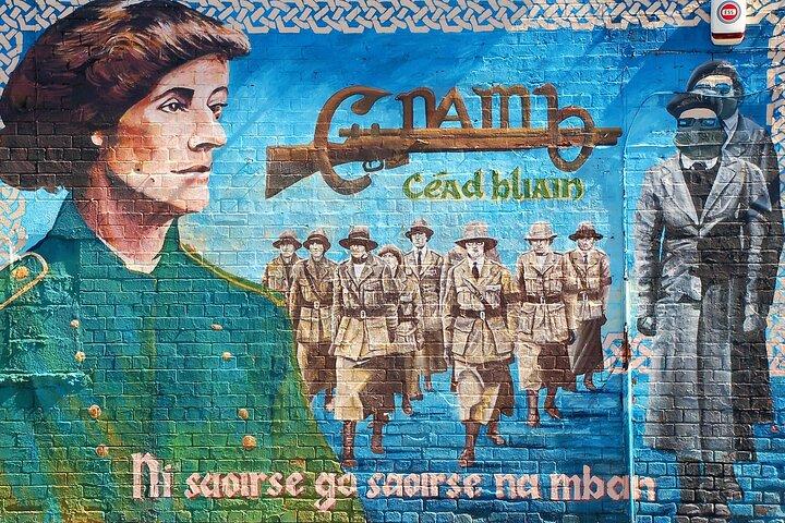 Belfast Famous Black Taxi Tour Political Murals & Peace Wall 2 Hr