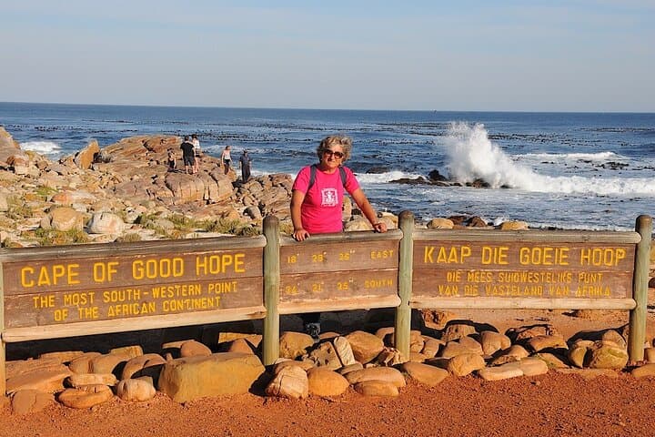 Cape Town Seal Snorkelling, Penguin Colony & Cape of Good Hope Private Tour