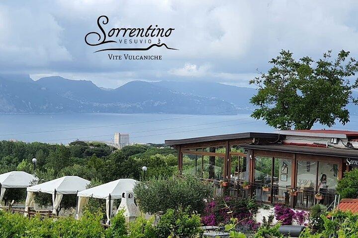 Private Wine Tour,lunch,9 wines,sommelier, transport from Naples