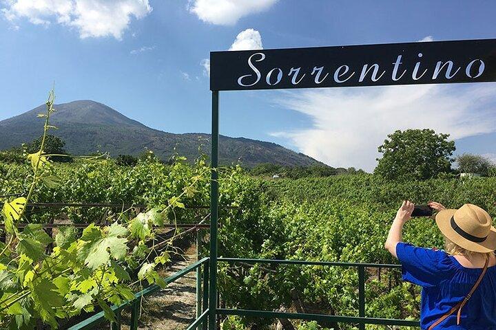 Private Wine Tour,lunch,9 wines,sommelier, transport from Naples