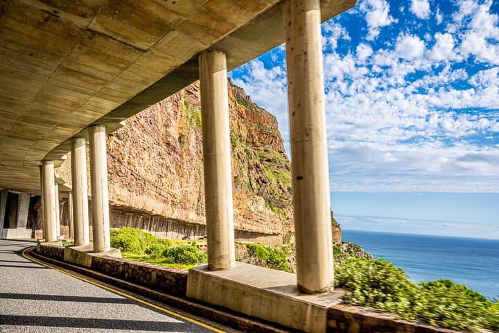 Half day Peninsula & Wine Combo tour