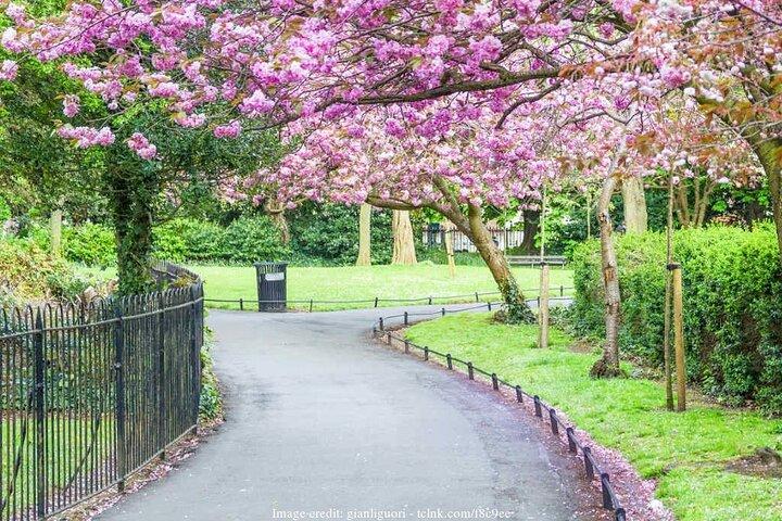 The Best of Dublin including Trinity College: Private Tour