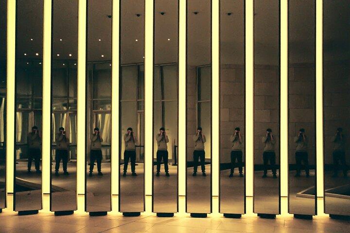 Skip-the-line Ticket Premium Access to Fondation Louis Vuitton