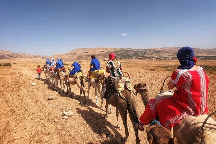 Best, Day trip to the Atlas Mountains, Camel ride, waterfalls, from Marrakech