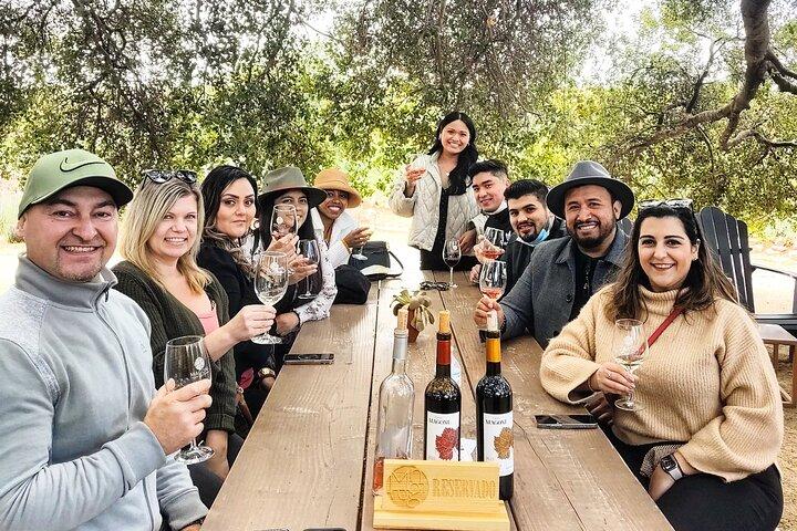 $99 Valle de Guadalupe Wine Tours - DayTrip to baja from San Diego