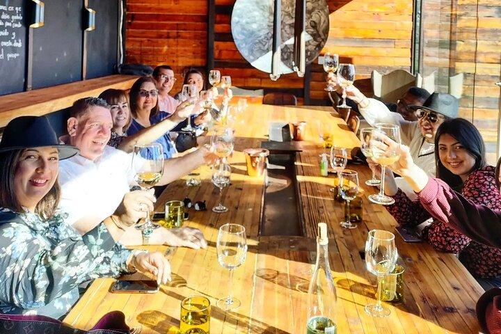 $99 Valle de Guadalupe Wine Tours - DayTrip to baja from San Diego