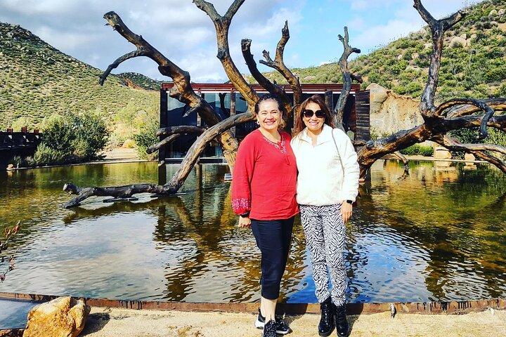 $99 Valle de Guadalupe Wine Tours - DayTrip to baja from San Diego