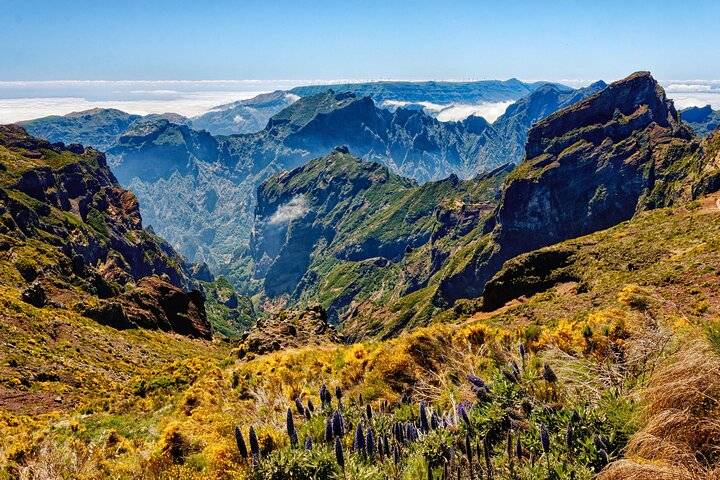 Levada walks, Funchal