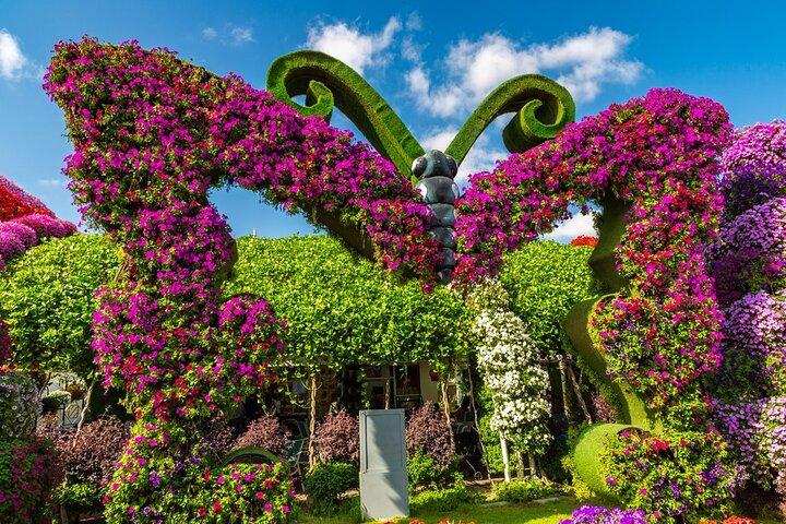 Dubai Miracle Garden and Butter Fly Garden Private Tour