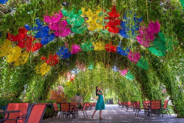 Miracle Garden Dubai Including Pickup & Drop Off