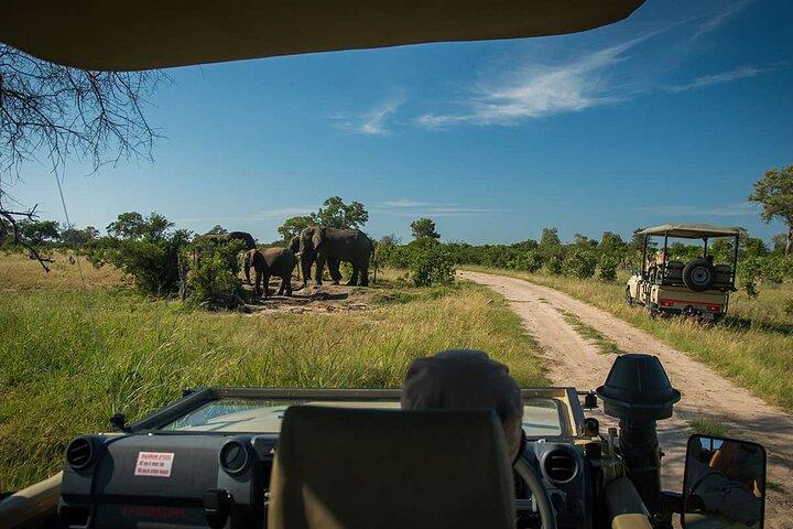 Full-Day Chobe National Park Game Drive from Kasane