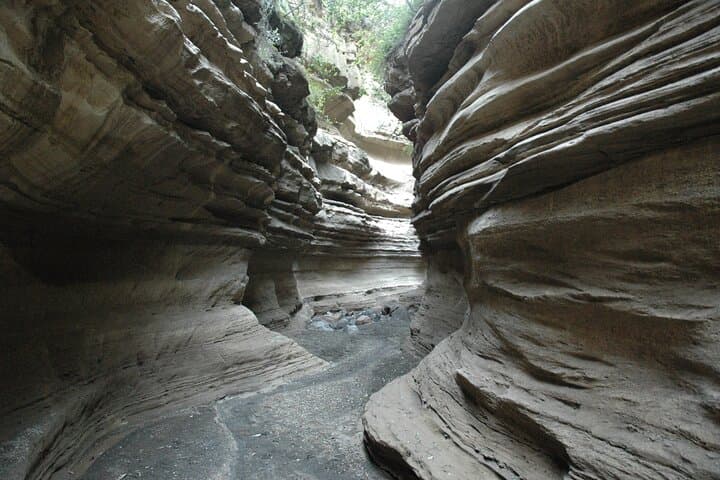 Full day; Hells Gate National park & Lake Naivasha from Nairobi.