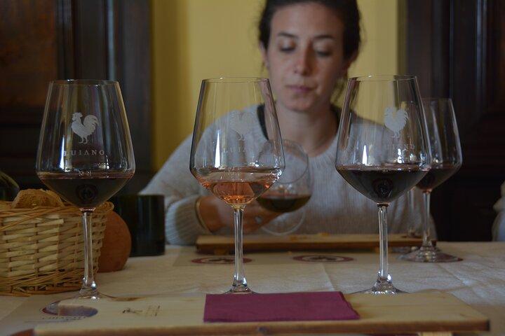 Private Chianti with Lunch Half Day Experience from Florence