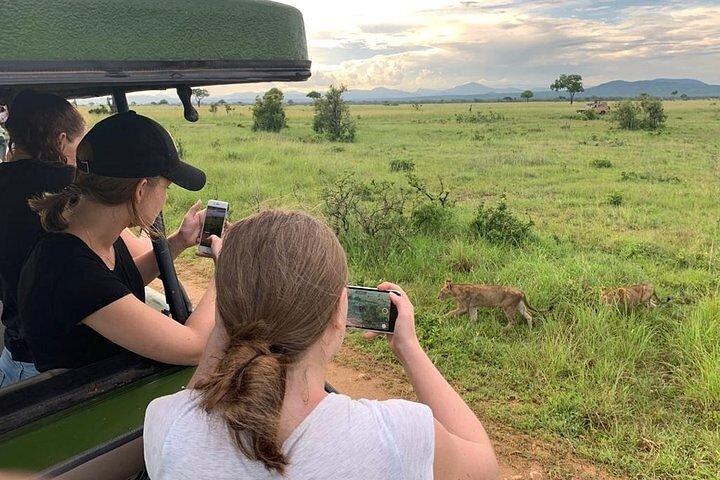 3 Days Selous (Nyerere) Safari from Zanzibar or Dar es salaam