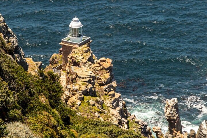 Small Group: Cape Peninsula & Table Mountain Full Day Tour.