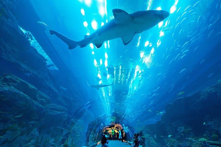VIP Experience Dubai Aquarium & Underwater Zoo-As per Selection