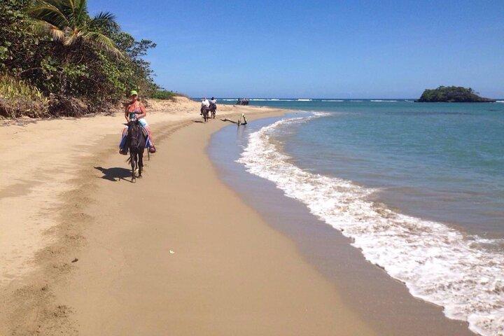 Beach Horse Ride with countryside amber cove & Taino Bay