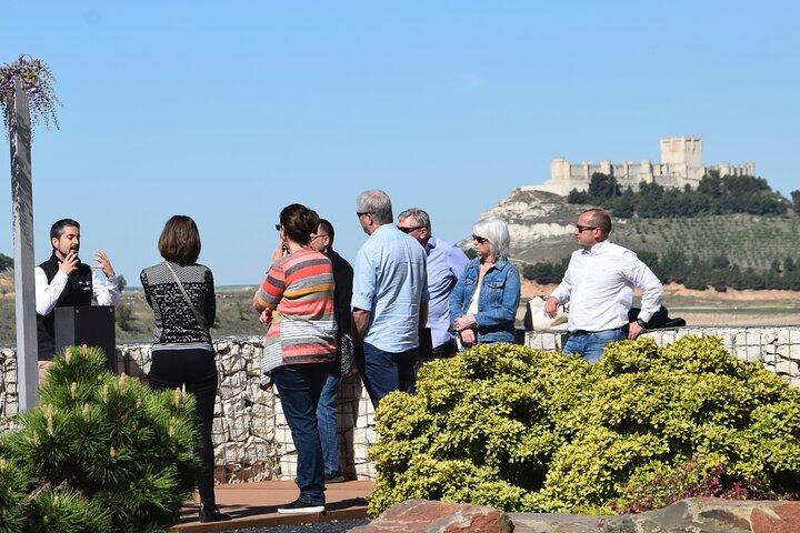 Private day tour Ribera del Duero