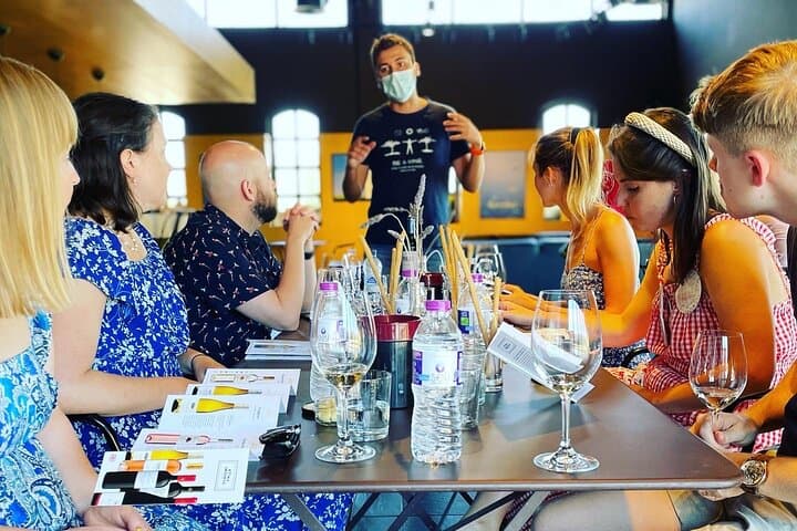 Premium Nemea Wine Tour from Athens, Nafplio or Nemea, with Oenologists