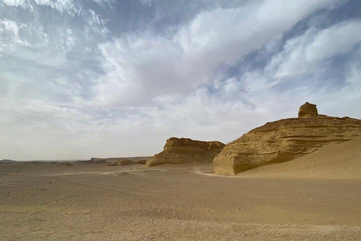 Fayoum Full Day Tour Bird Watching
